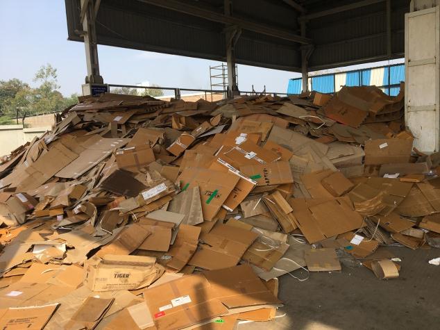 Cardboard